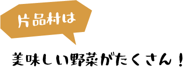 片品村は美味しい野菜がたくさん！