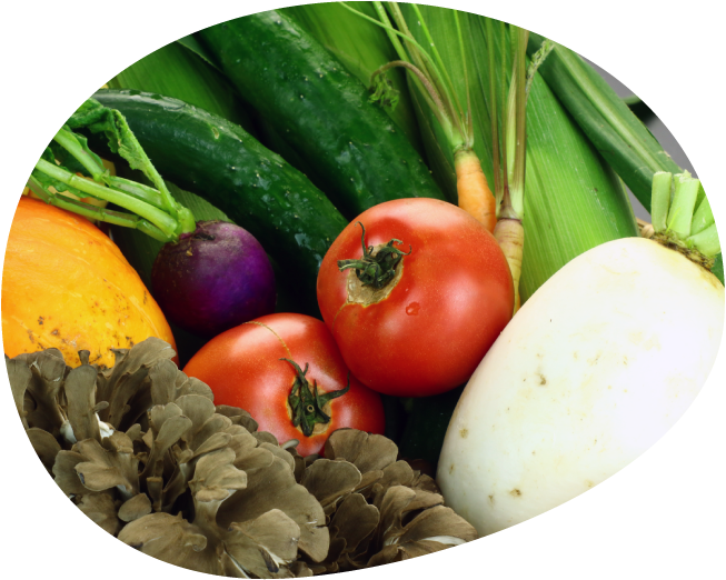 地元食材たっぷりの田舎会席